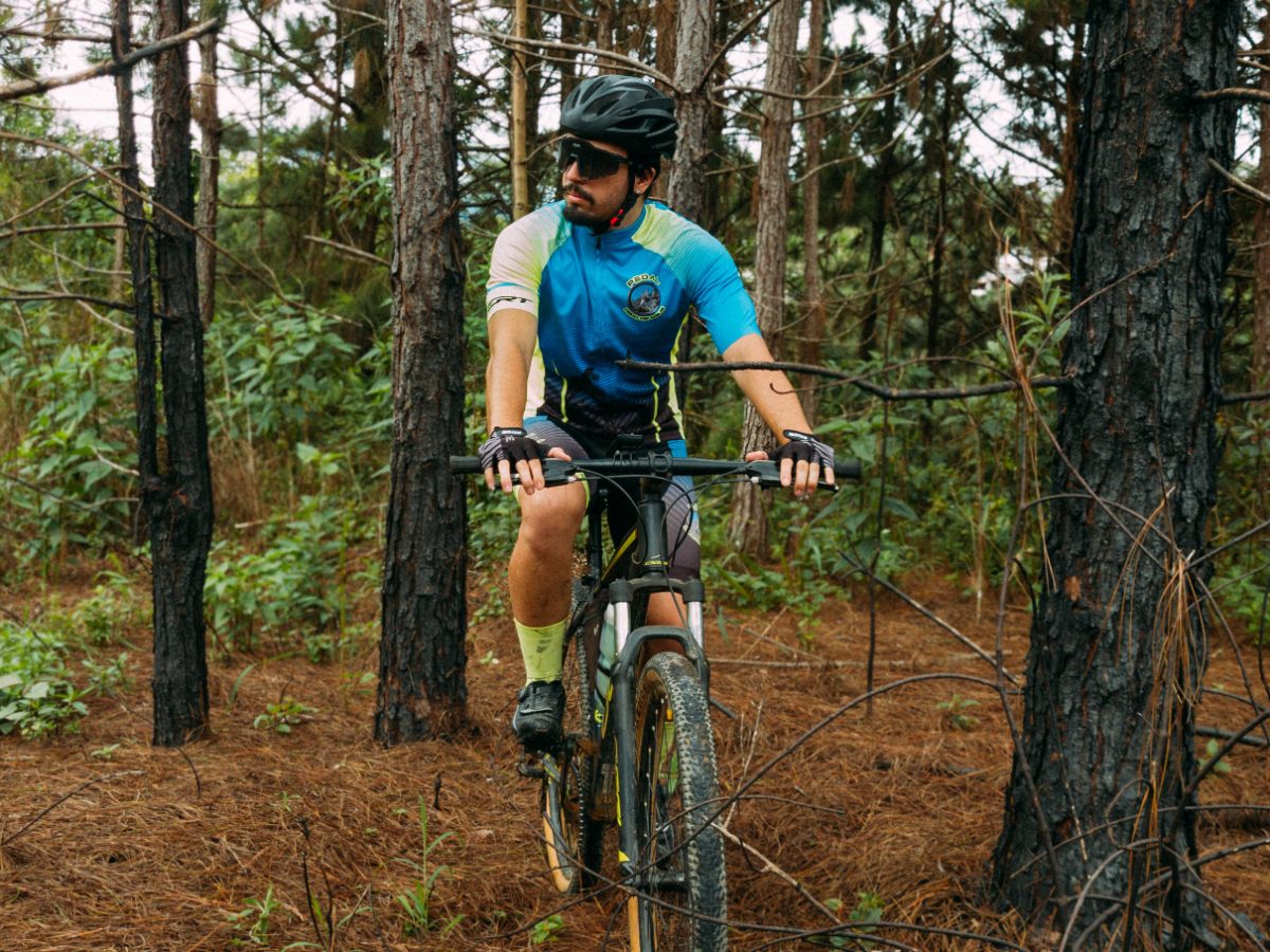 Mountainbiker im Kiefernwald