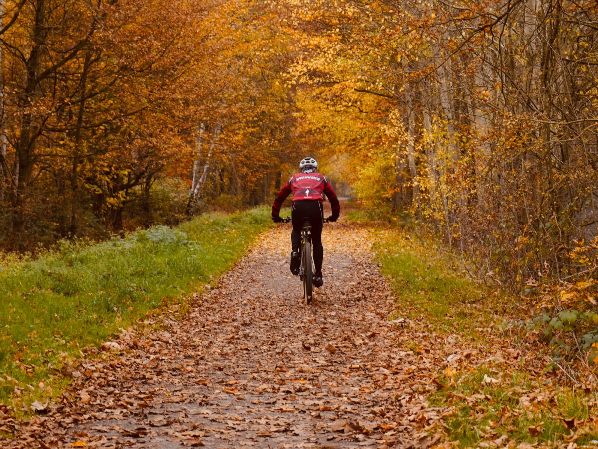 Radfahrer auf einem Waldweg im Herbstlaub