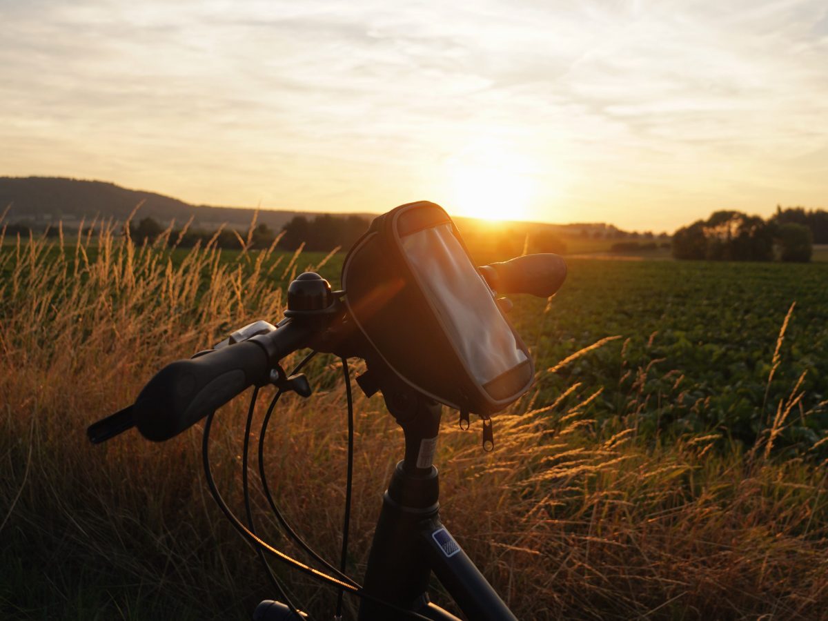 Fahrradlenker vor Feldern im Abendlicht