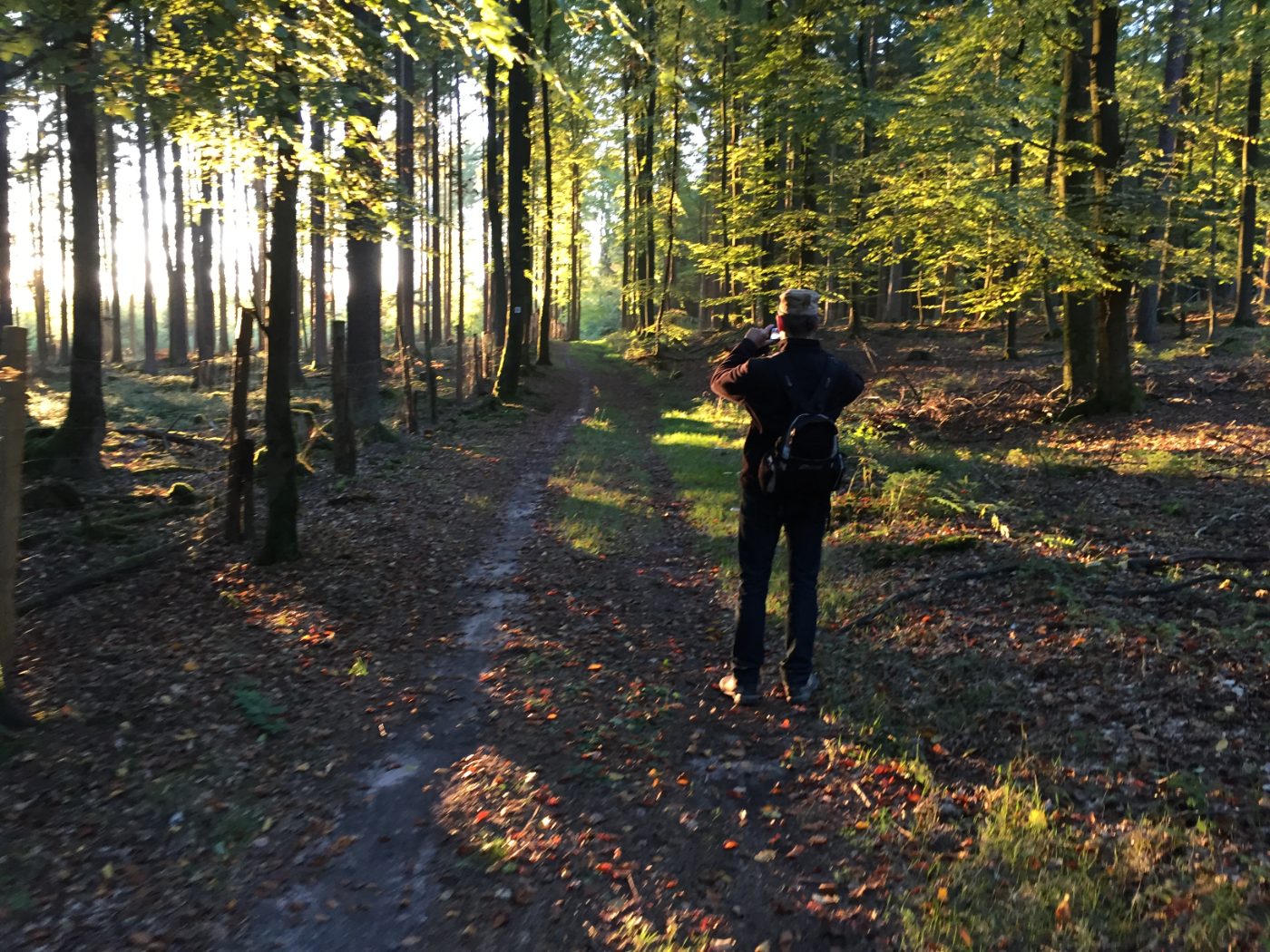 Wanderer fotografiert einen herbstlichen Waldweg im Morgenlicht